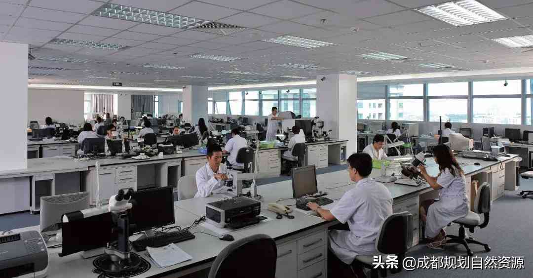 玉石鉴定app扫一扫(如何查玉石鉴定证书可以二维码查询吗)插图2