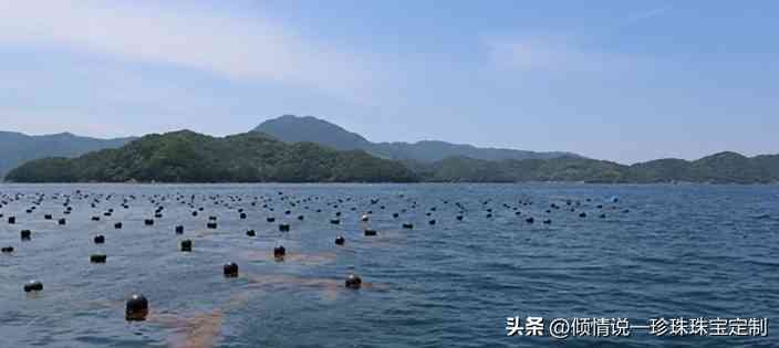 最漂亮的珍珠项链(珍珠最不值钱的颜色)插图1