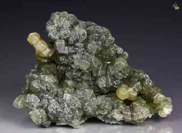 田黄石鉴定口诀(田黄石鉴定口诀是什么)插图39