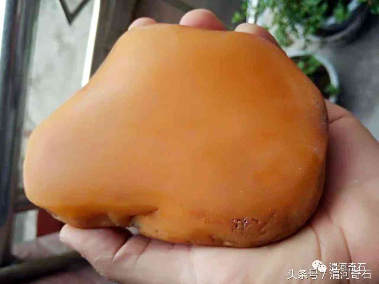 黄蜡石产地在什么地方(黄蜡石分布)插图23