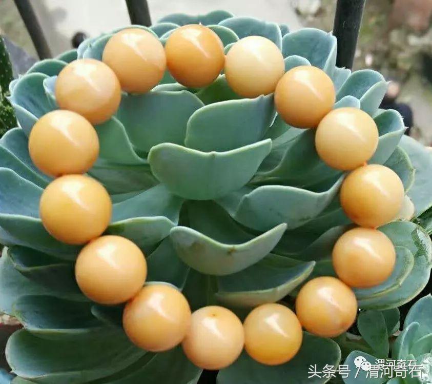 黄蜡石产地在什么地方(黄蜡石分布)插图28