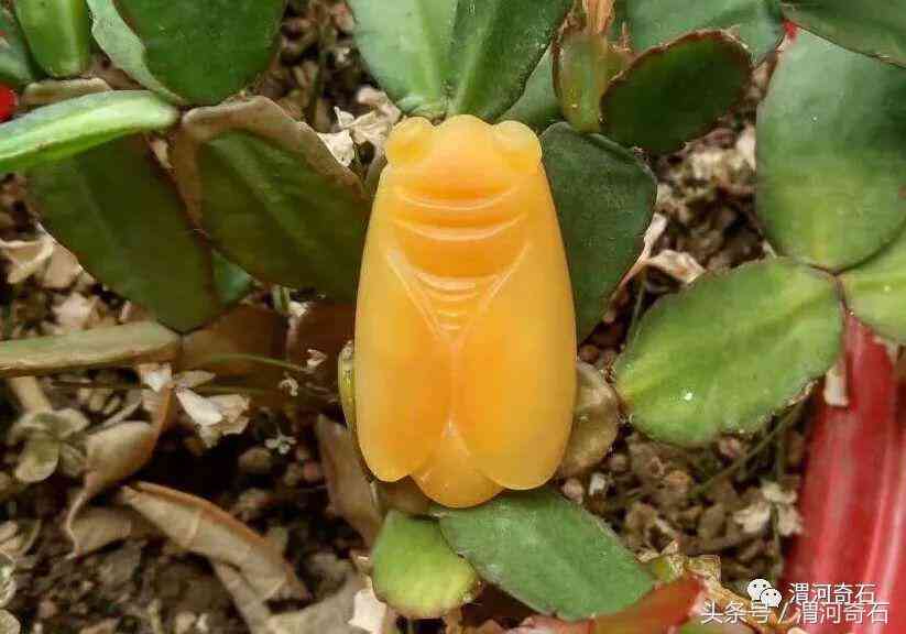 黄蜡石产地在什么地方(黄蜡石分布)插图29