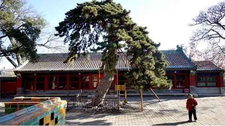 100亿天价玉石(老玉件真品图片大全)