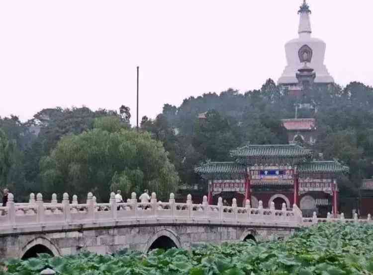 100亿天价玉石(老玉件真品图片大全)插图11