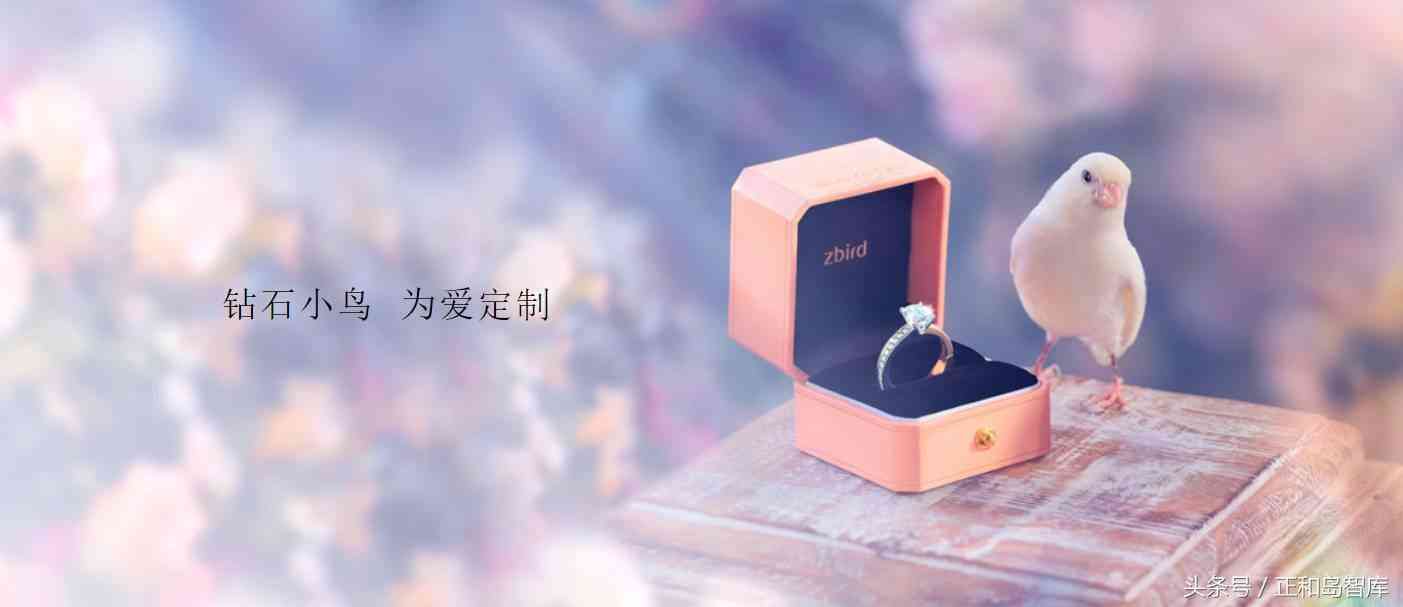 钻石小鸟全球钻(钻石小鸟全球钻价格贵)