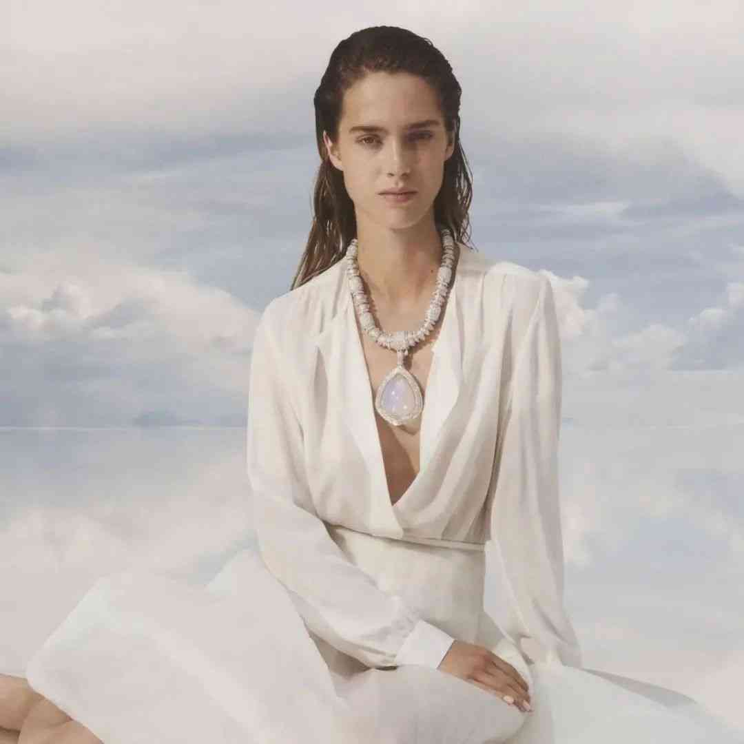 高级珠宝品牌(高级珠宝品牌目标人群)插图17