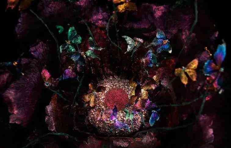 高级珠宝品牌(高级珠宝品牌目标人群)插图60