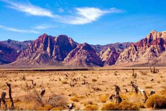 中国十大黄金排行(中国黄金十大排名)插图3