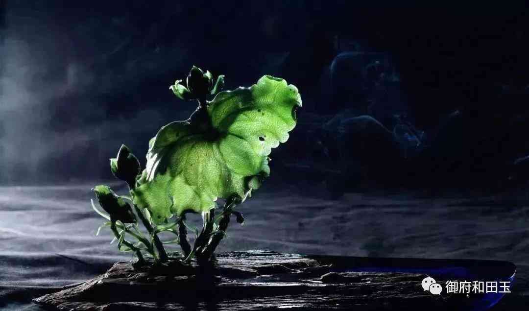 上海御府和田玉(上海和田玉专卖店排名)插图20 上海御府和田玉(上海和田玉专卖店排名)插图20