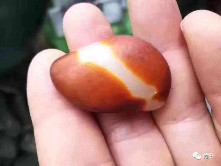 籽料多少钱一克(和田黄玉籽料多少钱一克)