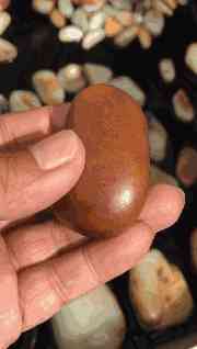 籽料多少钱一克(和田黄玉籽料多少钱一克)插图11