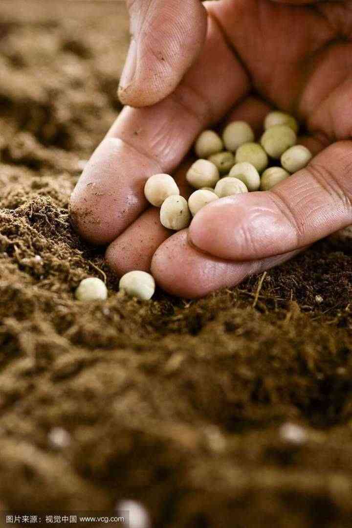 紫水晶的含义(紫水晶代表的意义)插图8