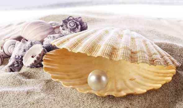 海水珍珠好还是淡水珍珠好(佩戴海水珍珠好还是淡水珍珠好)插图3