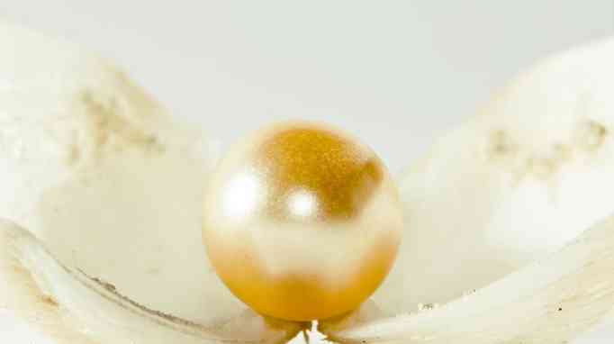 海水珍珠好还是淡水珍珠好(佩戴海水珍珠好还是淡水珍珠好)插图4