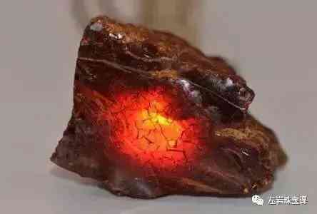 波罗的海血珀(波罗的海血珀有风化纹吗)插图9