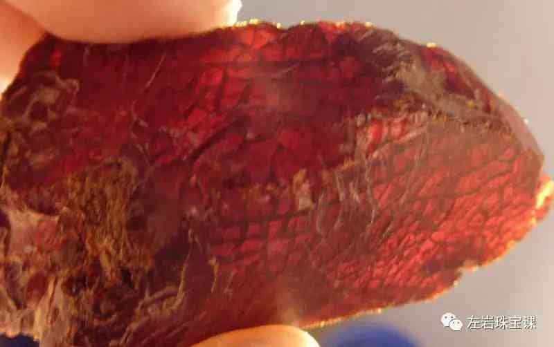 波罗的海血珀(波罗的海血珀有风化纹吗)插图15