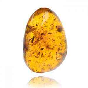 琥珀的价格是多少一克(琥珀市场价多少钱一克)插图2