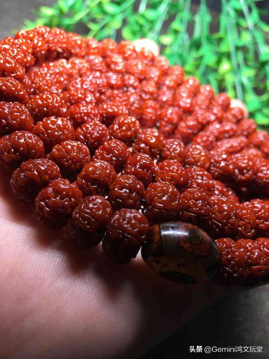 金刚菩提子怎么盘(金刚菩提子怎么盘玩)插图2