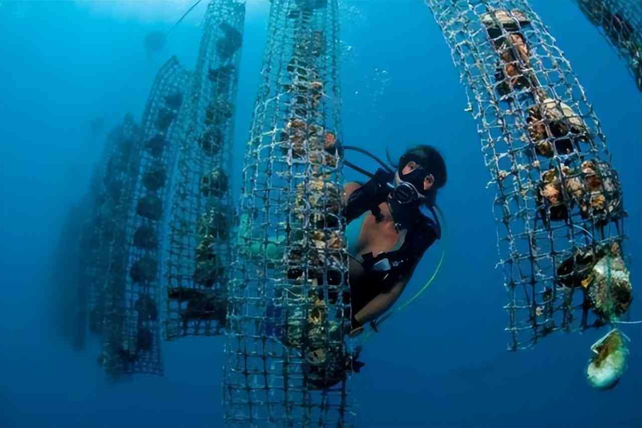 白色珍珠项链多少钱(白色珍珠项链戴久了会变色吗)插图7