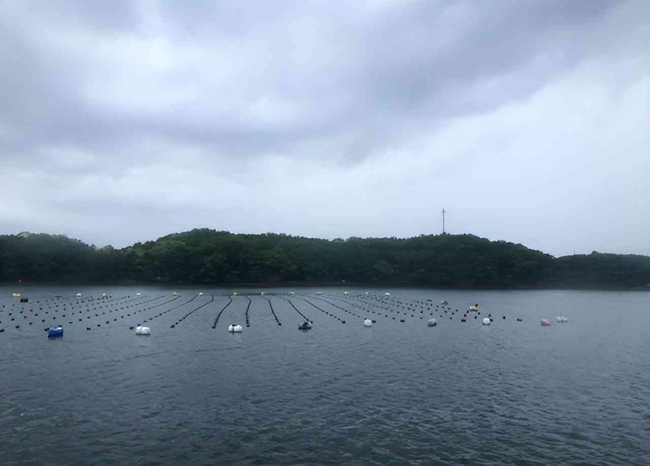 白色珍珠项链多少钱(白色珍珠项链戴久了会变色吗)插图8