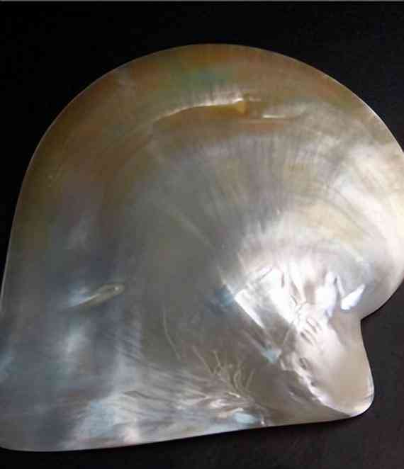 白色珍珠项链多少钱(白色珍珠项链戴久了会变色吗)插图9