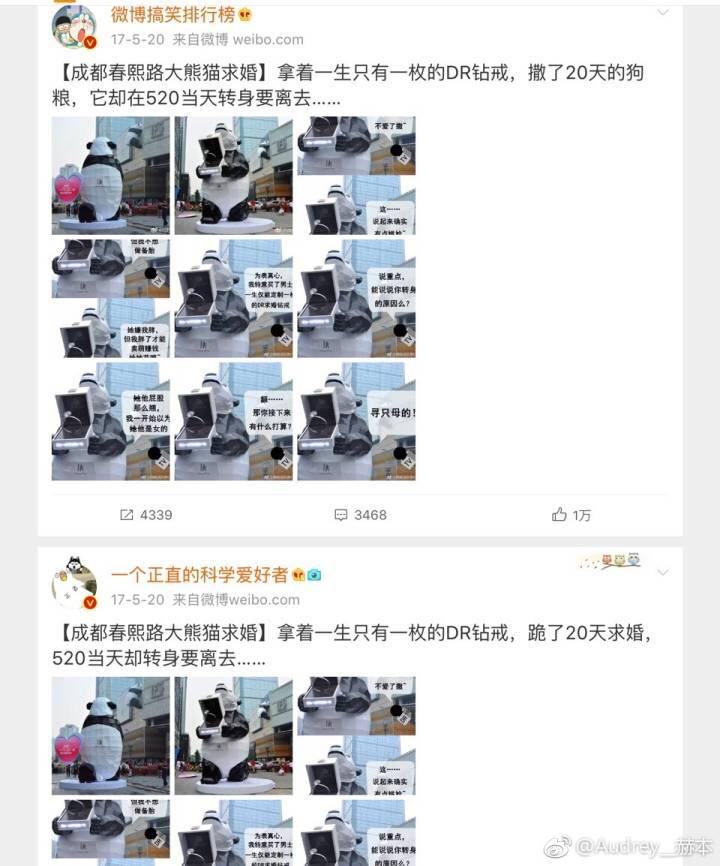 darryring是哪个国家的牌子(darryring官网)插图1