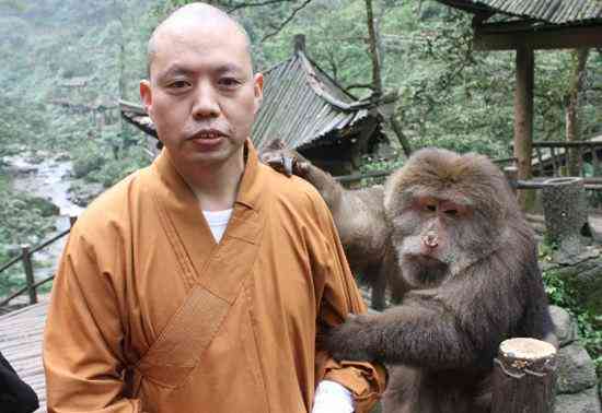 真正的僧人用什么佛珠(最有灵性的佛珠)插图3