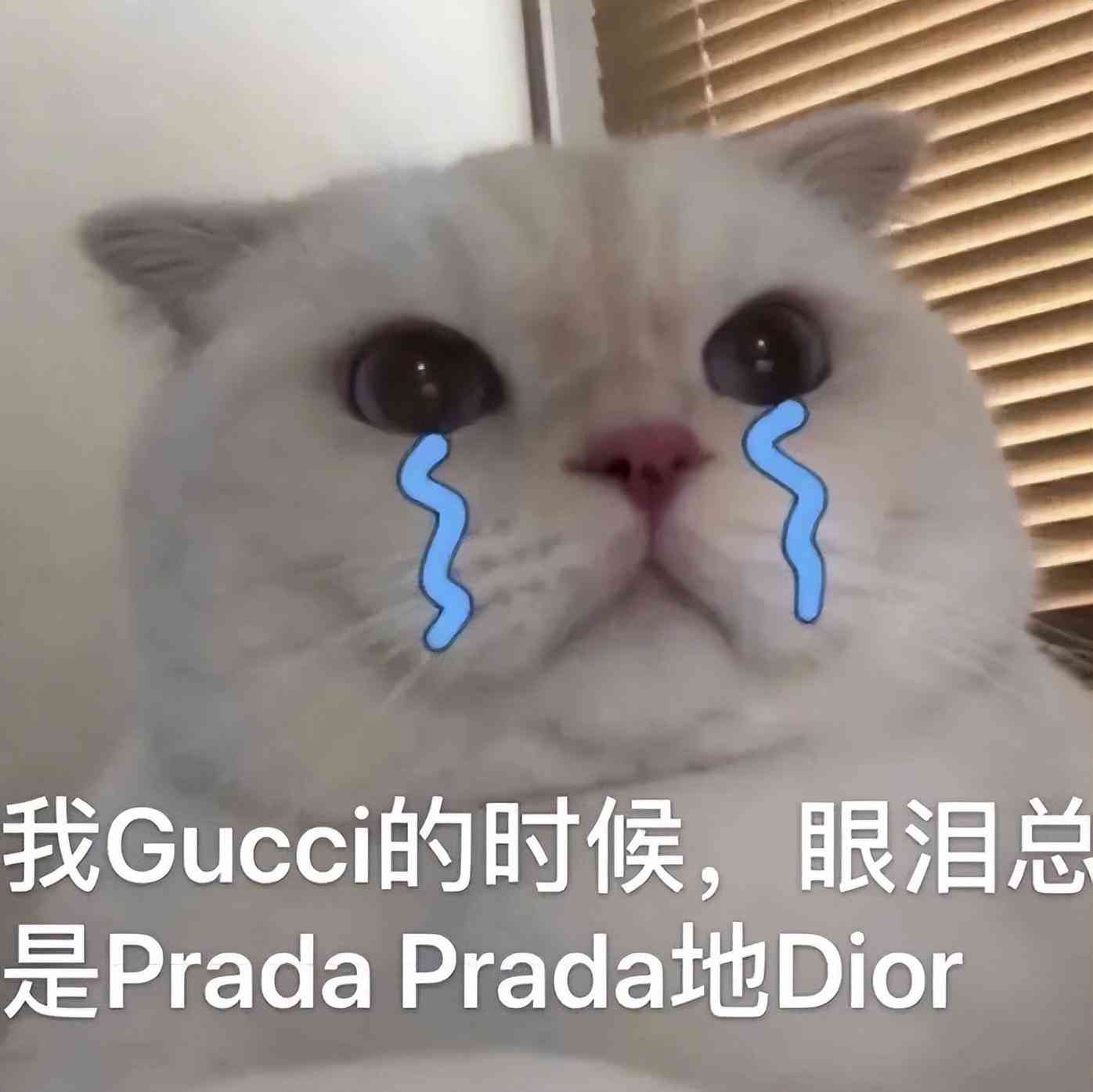 宝格丽戒指什么材质(宝格丽戒指贵不贵)插图6