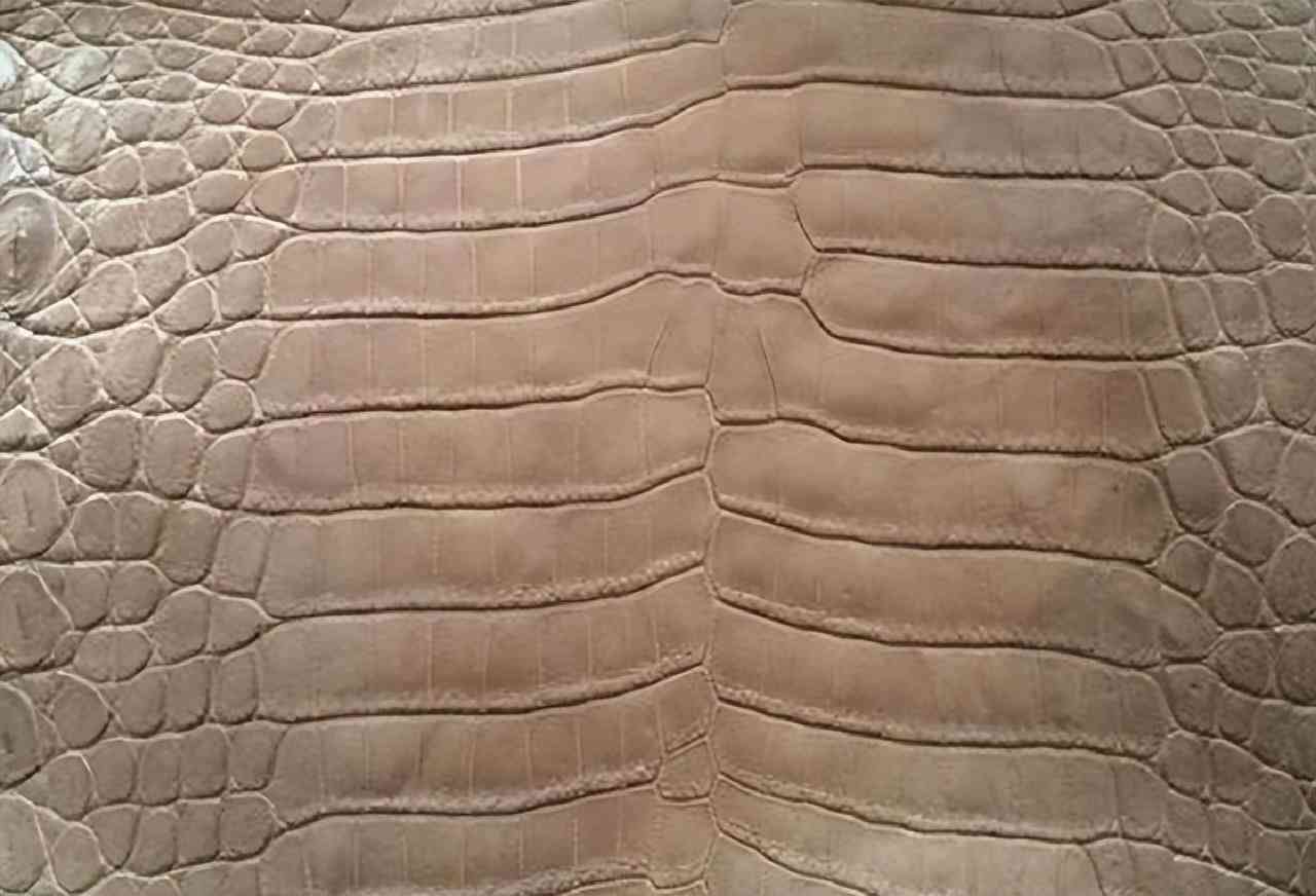 世界十大奢侈品牌包包排行(一线二线三线奢侈品牌包包)插图4