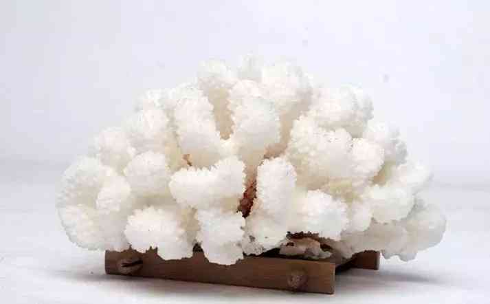 紫水晶和黄水晶哪个更招财(黄水晶适合什么属相的人)插图27