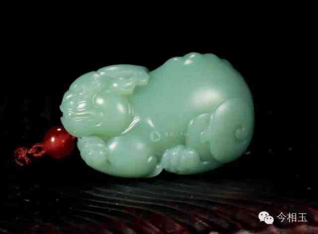 戴貔貅有什么讲究(脖子上戴貔貅有什么讲究)