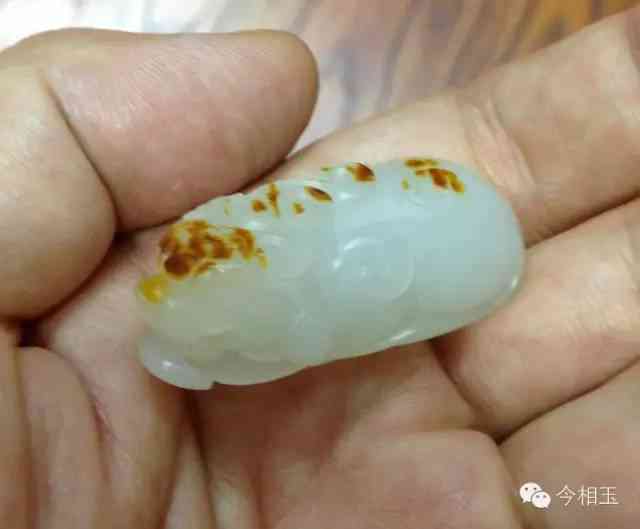 戴貔貅有什么讲究(脖子上戴貔貅有什么讲究)插图3 戴貔貅有什么讲究(脖子上戴貔貅有什么讲究)插图3