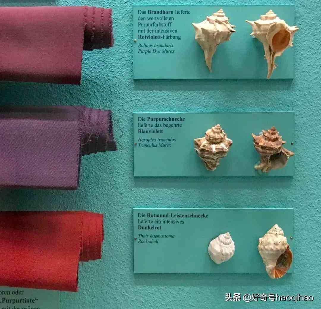 蒂芙尼蓝和薄荷绿(蒂芙尼蓝和薄荷绿图片)插图2