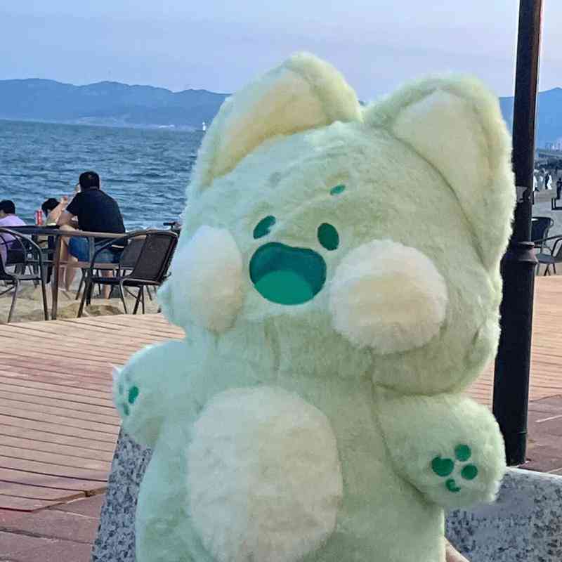 送给女士的生日礼物(送给女士的生日礼物祝福语)