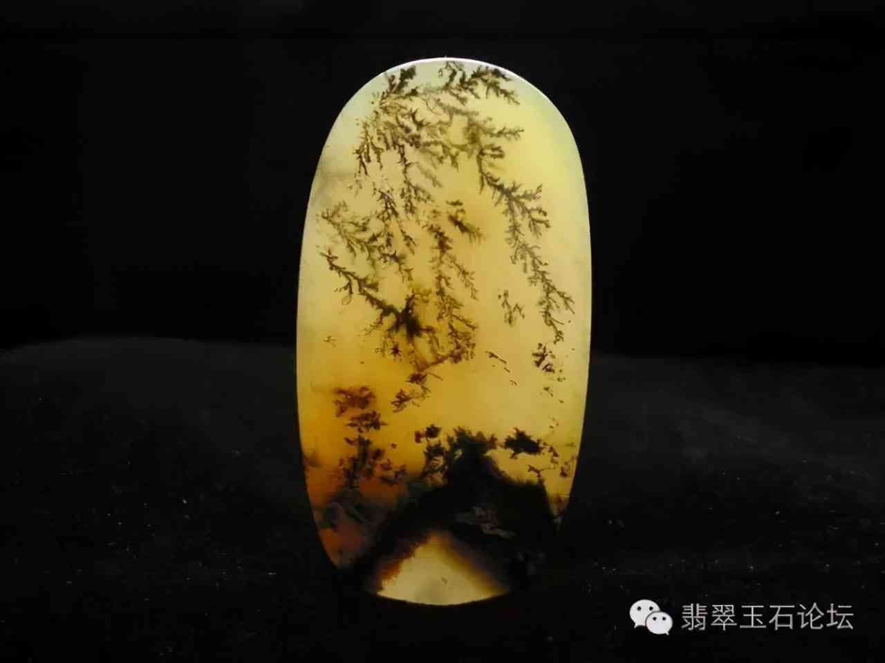 黄龙玉好还是翡翠好(黄龙玉和翡翠哪个更值钱)插图1