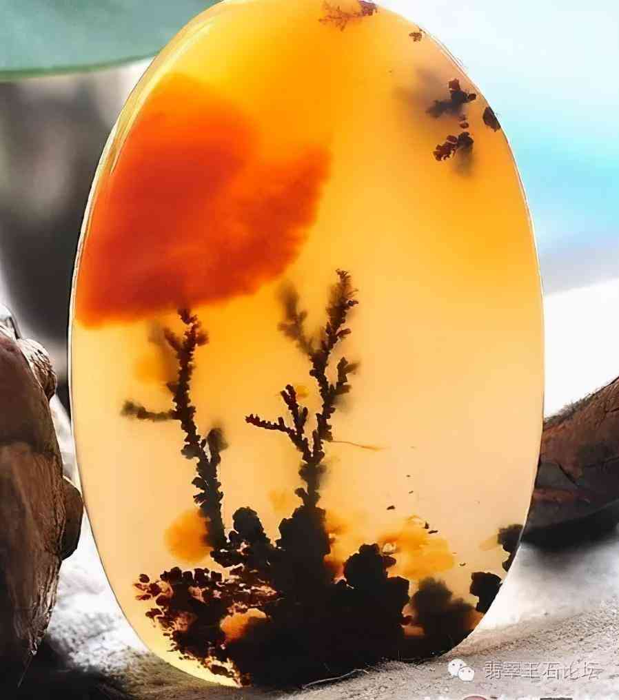 黄龙玉好还是翡翠好(黄龙玉和翡翠哪个更值钱)插图2