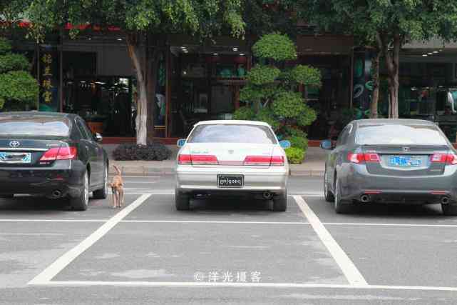 哪里的玉手镯最好(哪里的玉手镯最好最便宜)插图4