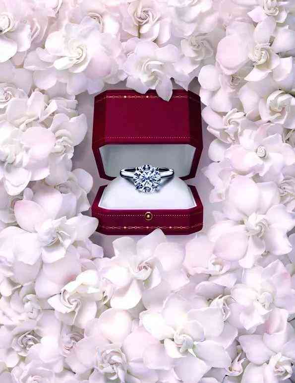 harrywinston对戒价格(harrywinston结婚对戒多少钱)插图11