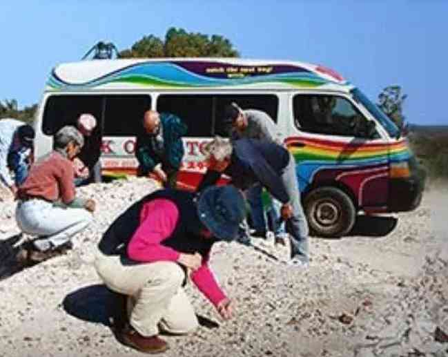 欧泊石真假辨别泡水(欧泊石怎么看好坏)插图4