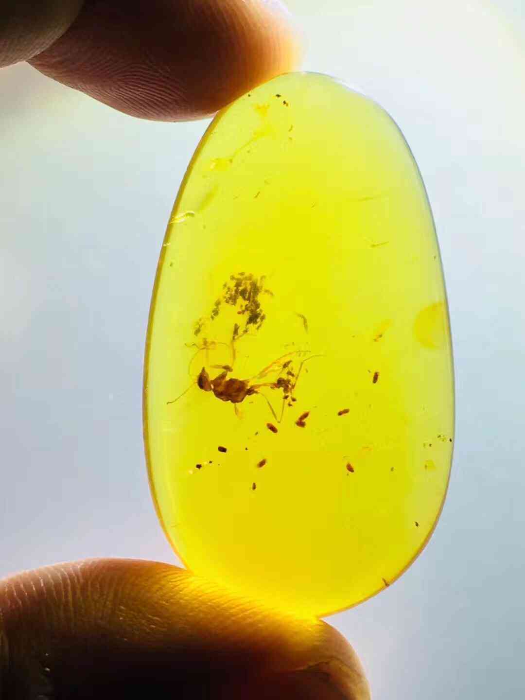 血琥珀的价格是多少一克(血琥珀价格多少钱一克)插图20