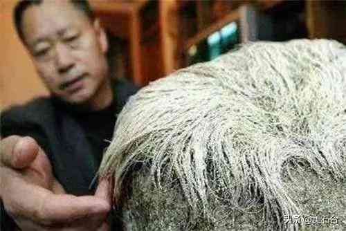 虎眼石价格一般多少(虎眼石的寓意和功效)插图6