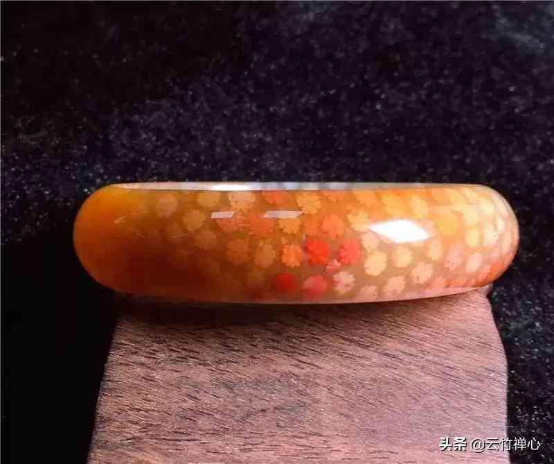 如何鉴别红珊瑚的真伪(红珊瑚现在的市场价多少一克)