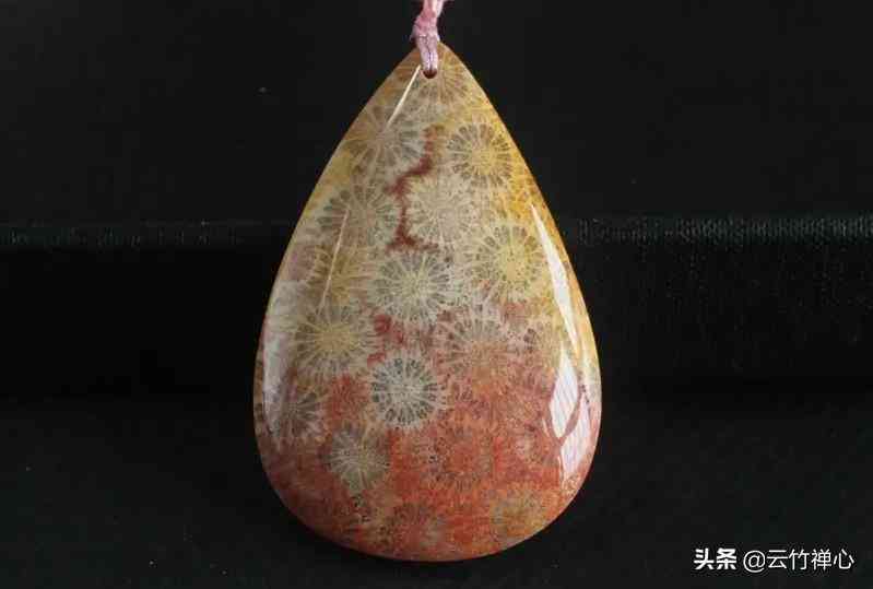 如何鉴别红珊瑚的真伪(红珊瑚现在的市场价多少一克)插图1