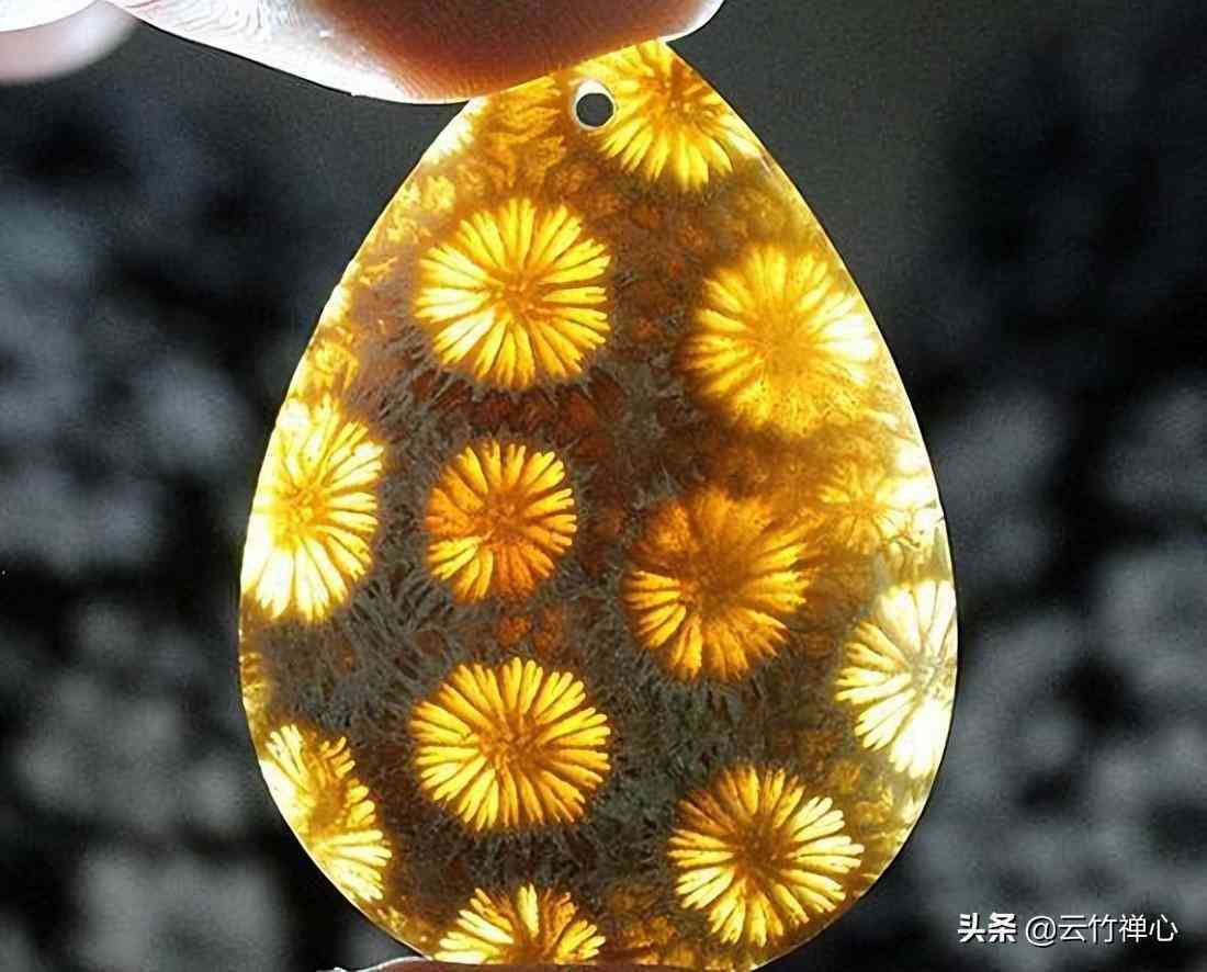 如何鉴别红珊瑚的真伪(红珊瑚现在的市场价多少一克)插图2