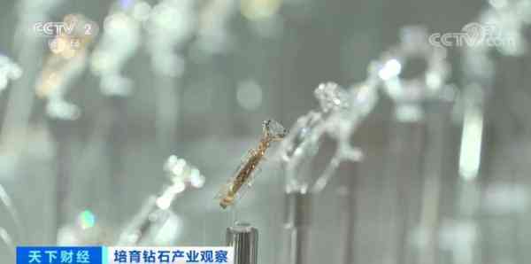 钻石价格上涨(钻石价格上涨超50% 印度珠宝制造商陷入困境)插图5