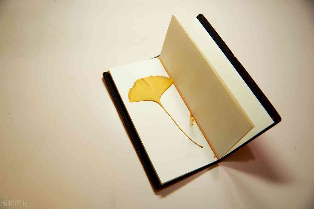 送项链代表什么意思(生日礼物送项链代表什么意思)插图2