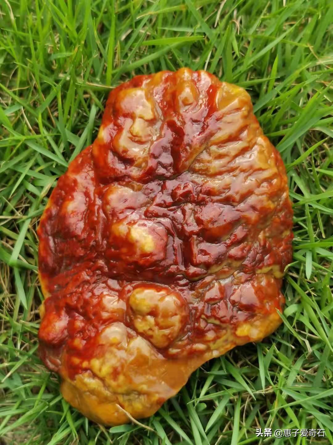 黄蜡石价格每克多少钱(黄蜡石的市场价格)插图18