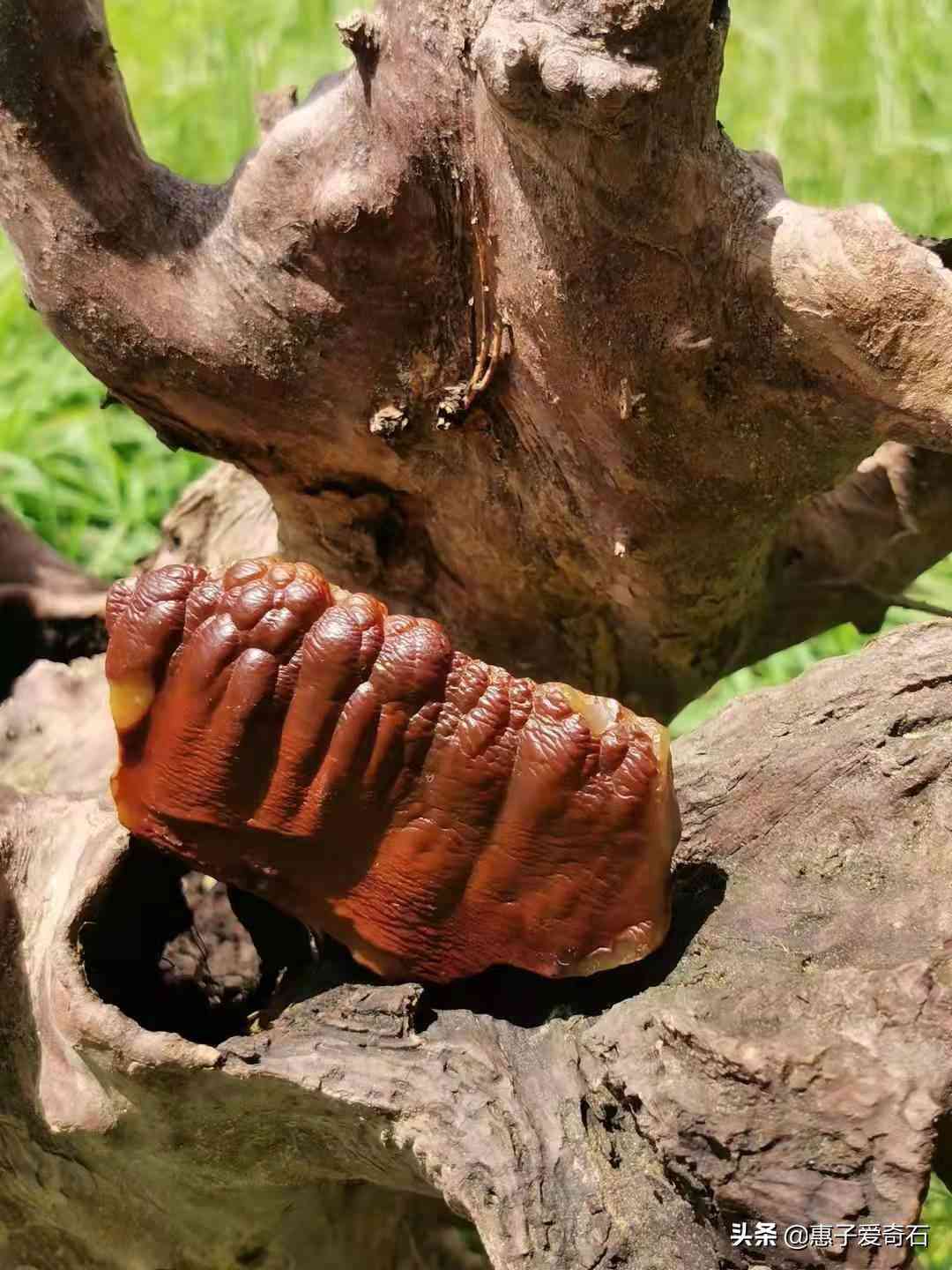 黄蜡石价格每克多少钱(黄蜡石的市场价格)插图19