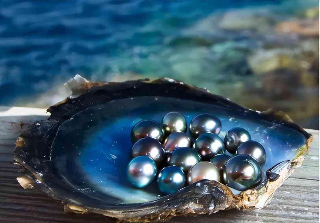 什么样的珍珠有收藏价值(什么样子的珍珠适合收藏)