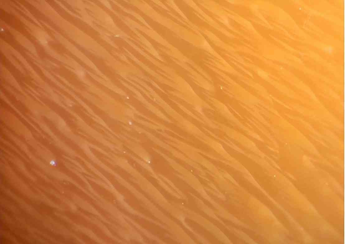 什么样的珍珠有收藏价值(什么样子的珍珠适合收藏)插图3